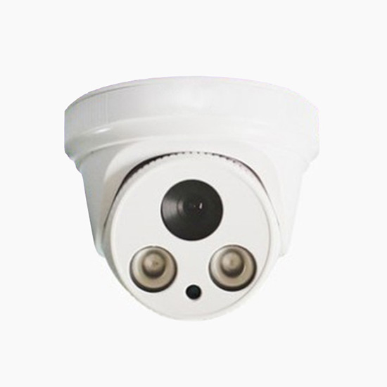 H.265 1080P 2MP HD POE Power Supply ONVIF P2P Cloud Service Dome IP Camera with Audio Recording