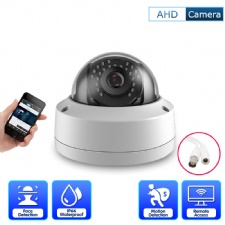 2MP 1080P Explosion-proof Face AHD Camera CCTV Video Surveillance Security Outdoor IP66 Weatherproof Dome Cameras